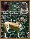  Einstein Spartacus Fitzgerald  TDROM ATD; 1st Mastiff Trick Dog Register of Merit through DMWYD (CKC)