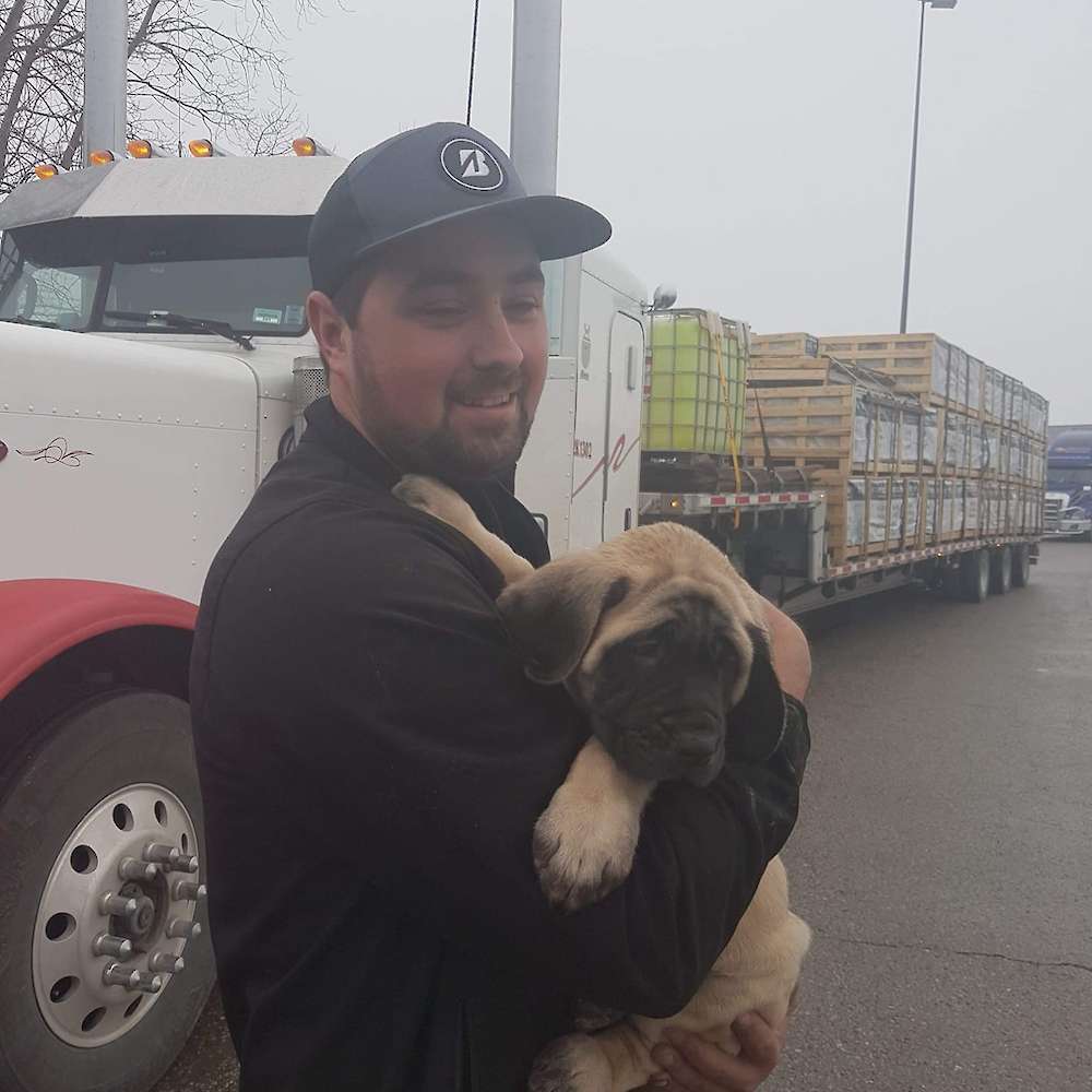 Lexie (Kaa from the Jungle Book litter)