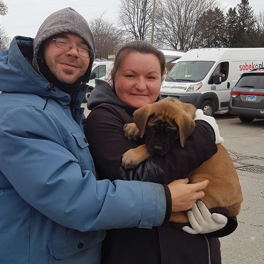 Rikki (Rikki Tikki Tavi from the Jungle Book Litter)