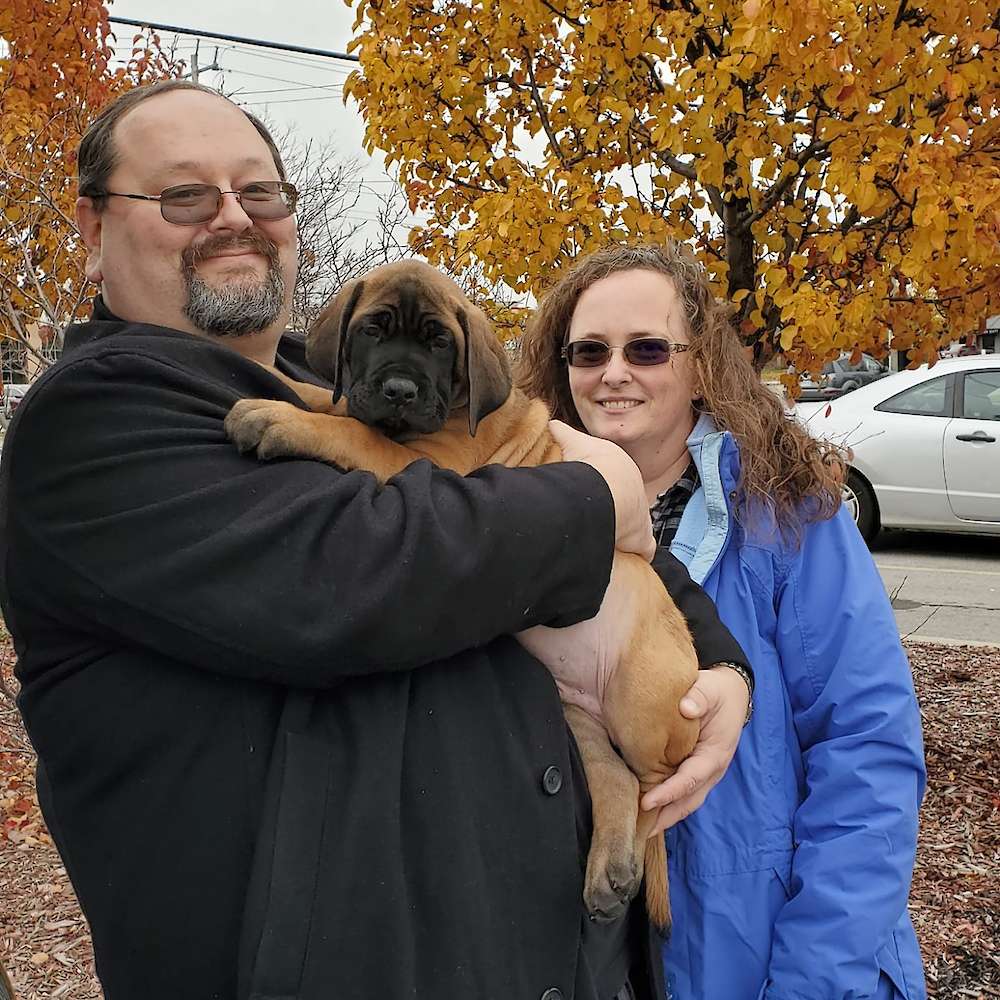 Monty (Gandalf, LOTR's litter)