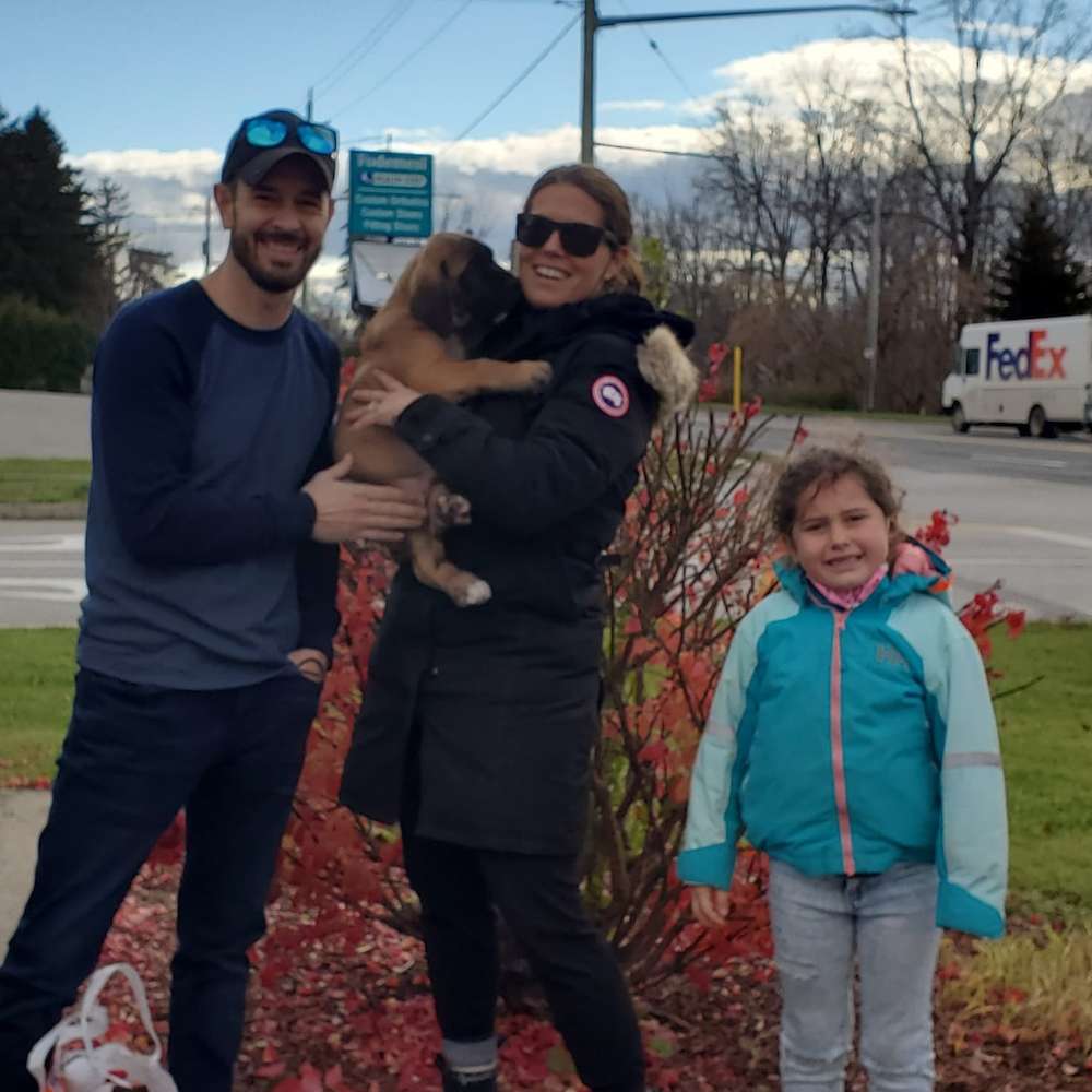 Eddie (Gimli, LOTR's litter)