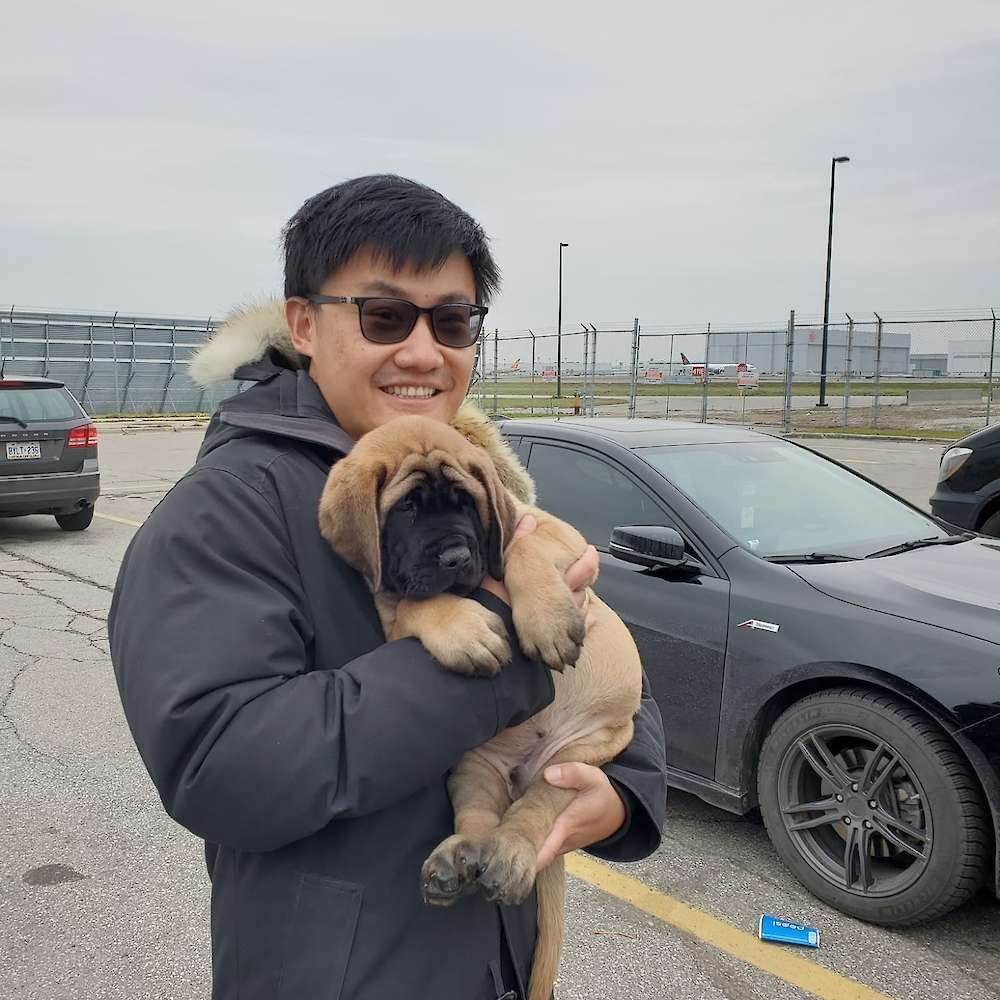 Sam (Samwise, LOTR's litter)