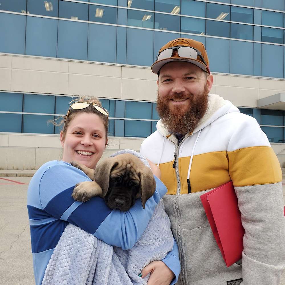 Arwen (Eowyn, LOTR's litter)