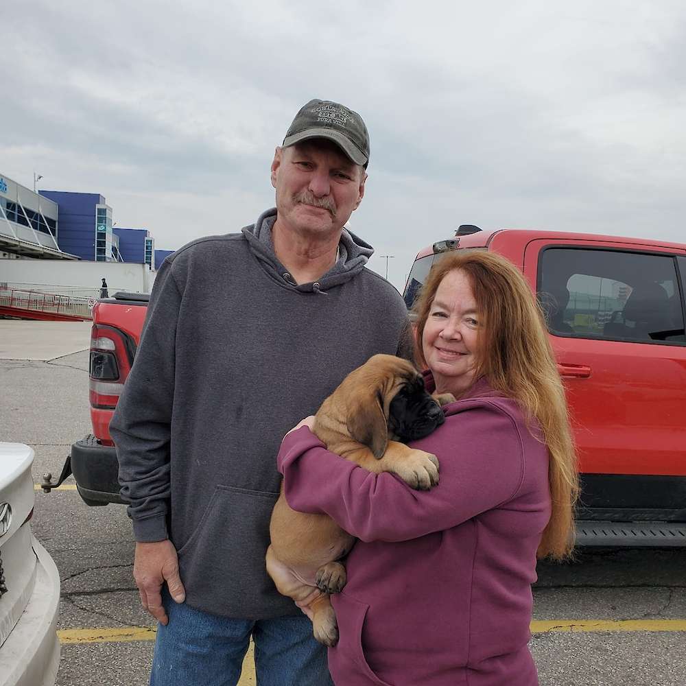 Arwen (Arwen, LOTR's litter)