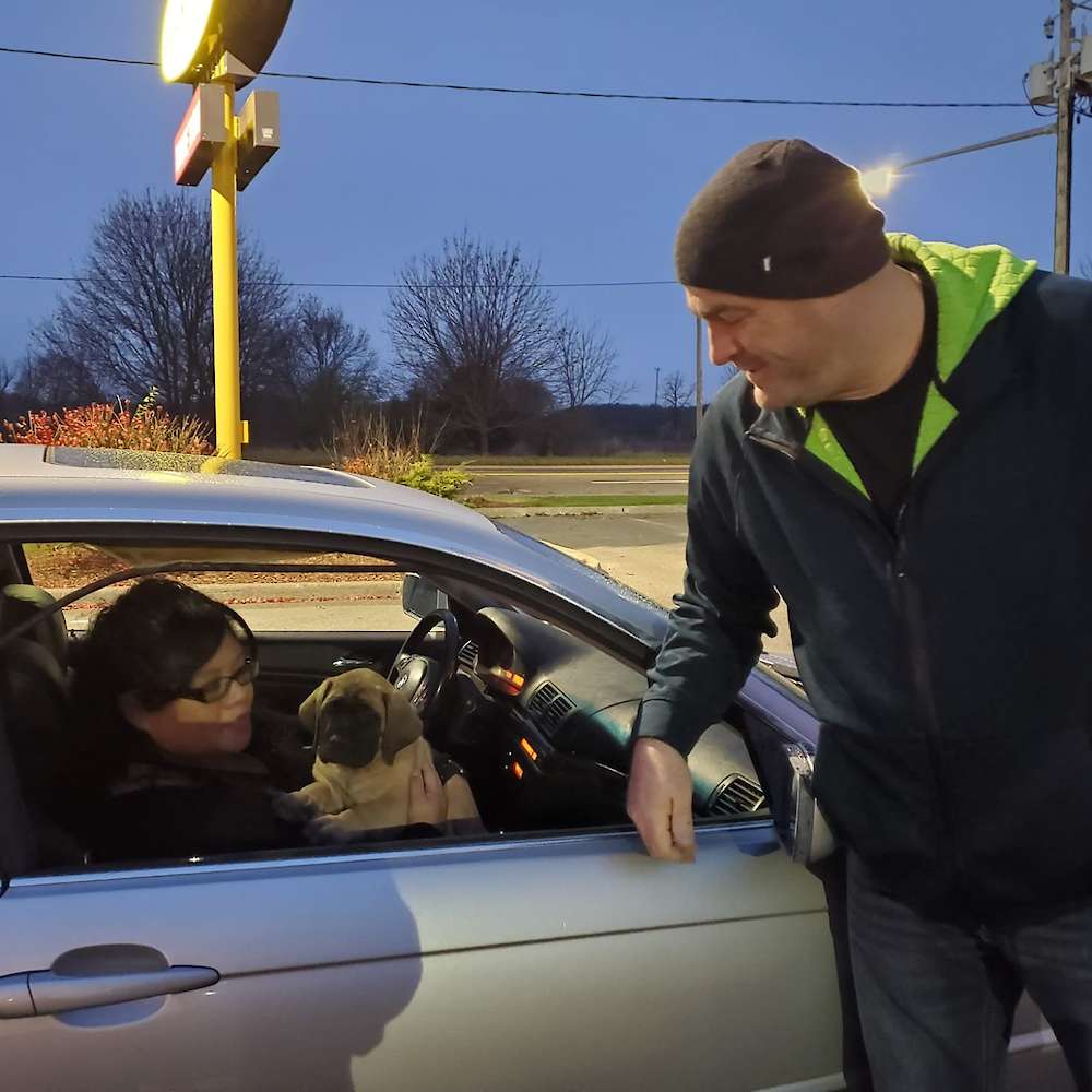 Prince Dewey (Aragorn, LOTR's litter)