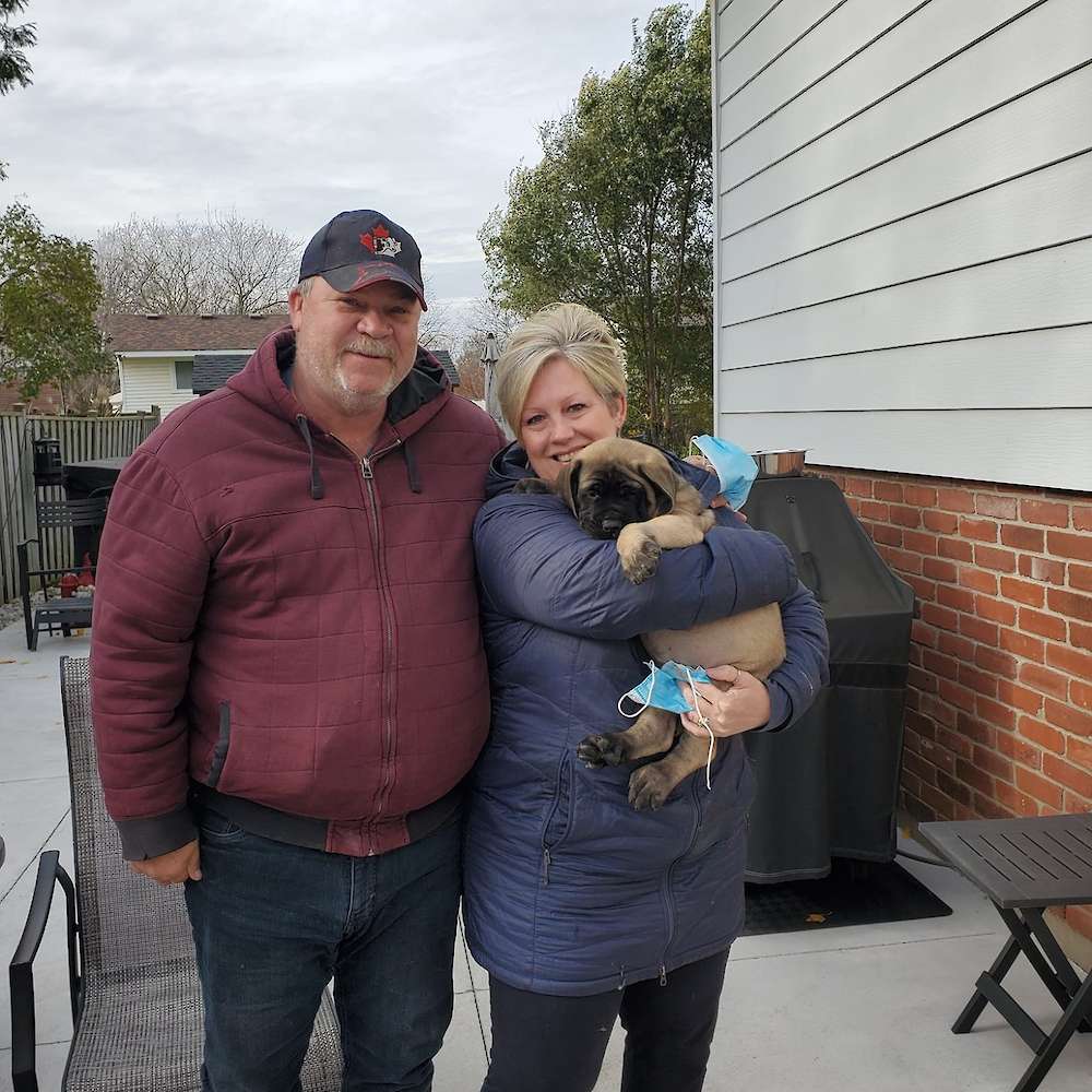 Judge (Galadriel, LOTR's litter)