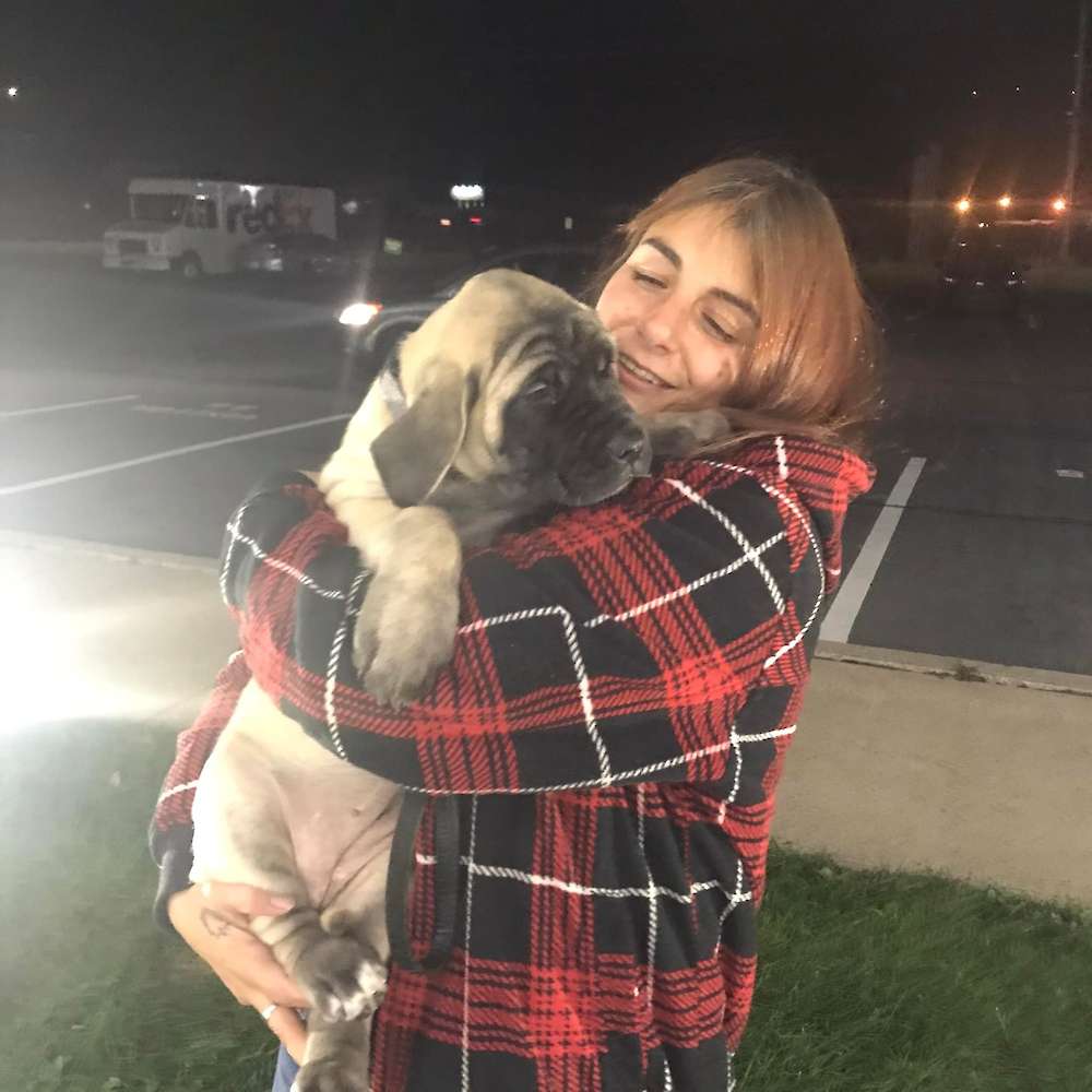 Rush (Merry, LOTR's litter)