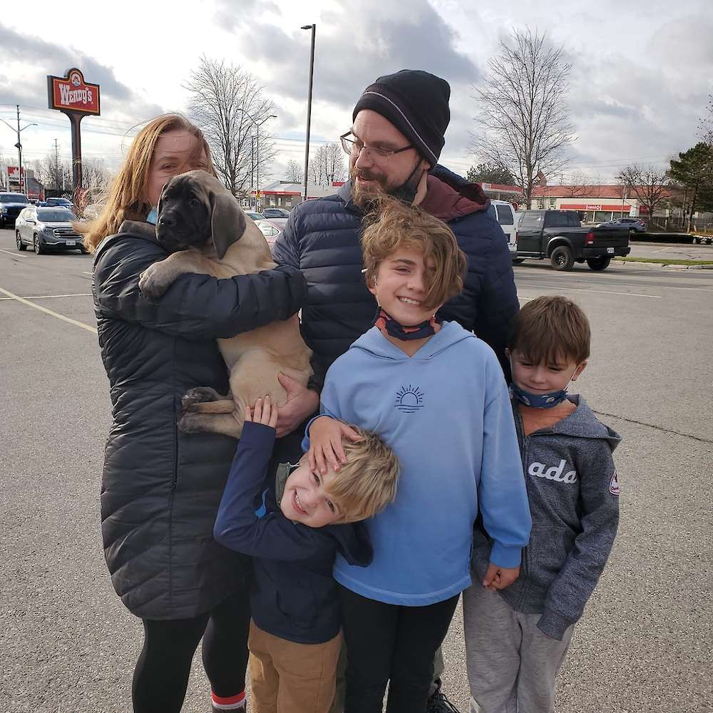 Pippin (Pippin, LOTR's litter)