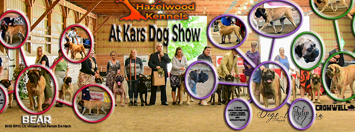 Kars Dog Show 2022