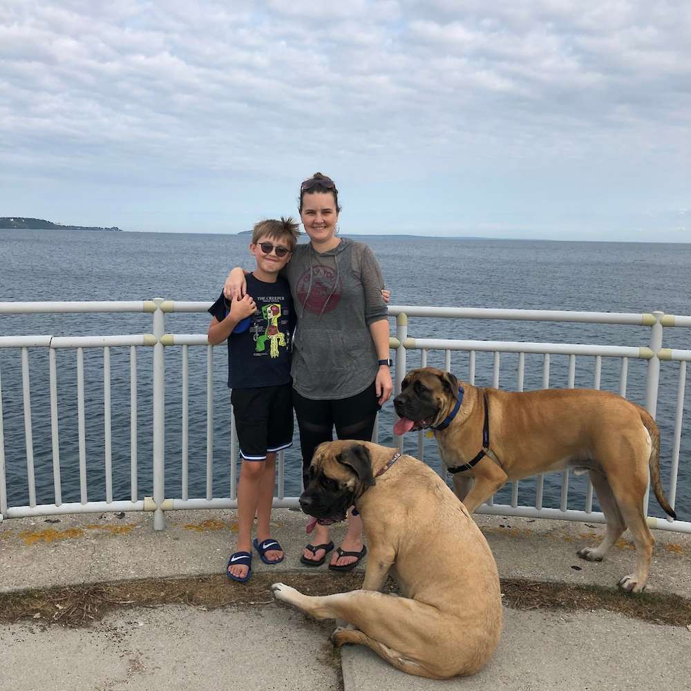 Kevin (Back; Originally Fiver from the Watership Down Litter) and Lucy (Dandelion from the Watership Down Litter) with their family. 2 years old