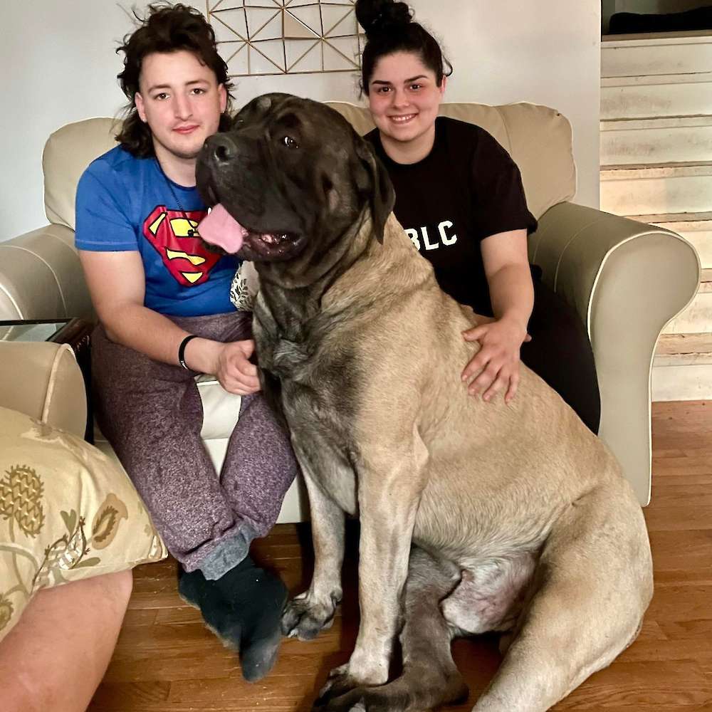 Tugg (Mowgli from the Jungle Book Litter) with his family 19 months old
